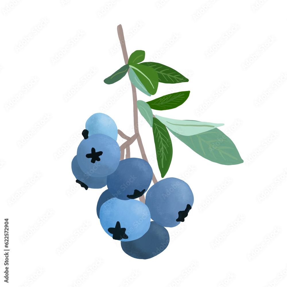 blueberry on branch