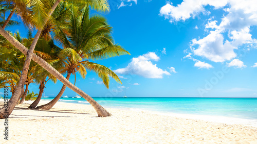 Vacation summer holidays background wallpaper - sunny tropical Caribbean paradise beach with white sand in Seychelles Praslin island Thailand style with palms photo