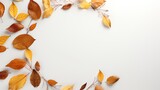 A top view of a minimalist arrangement of fallen leaves forming a circular frame, with negative copy space in the center for highlighting your text or branding. Background. Generative AI. 