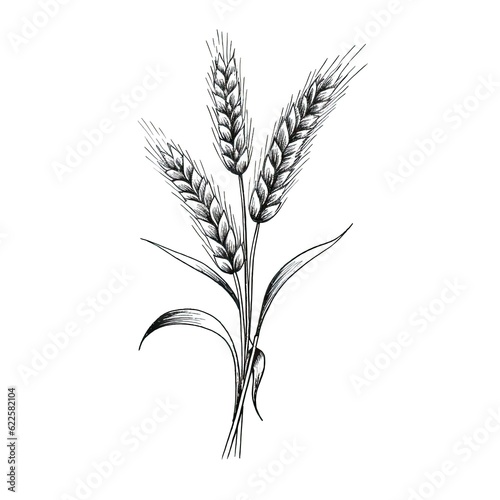 ear wheat ai generated