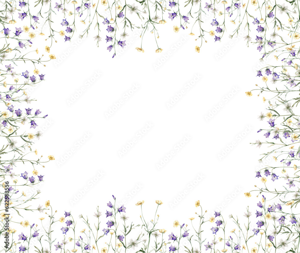 Frame of meadow, forest flowers. Campanula patula, little bell, bluebell, rapunzel. Rabelera holostea, stellaria.Watercolor hand painting illustration on isolate white background. Frame of meadow, forest flowers. Campanula patula, little bell, bluebell, rapunzel. Rabelera holostea, stellaria.Watercolor hand painting illustration on isolate white background.