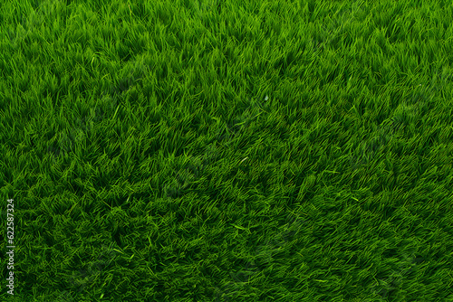 Wallpaper Mural High detailed Close up of fresh spring grass. Green lawn, green grass texture background pattern for walllpaper, background and design art work Torontodigital.ca