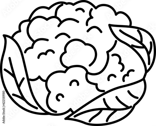 cauliflower vegetable