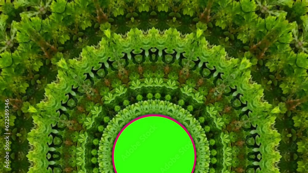 Abstract greenery background, heart shaped green leaves with kaleidoscope effect