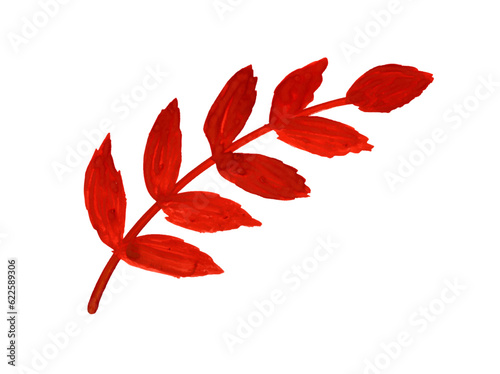 Autumn vector orange branch of rowan leaves Hand-drawn gouache Isolated design element on a white background. Botanical illustration of seasonal flora