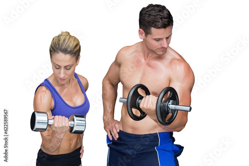 Digital png photo of caucasian muscular couple lifting dumbbells on transparent background