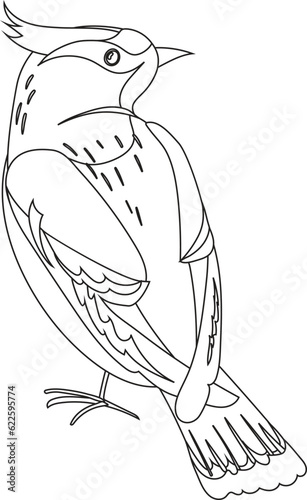 Bird Animal Character Vector Graphic