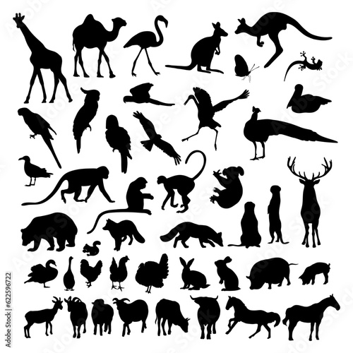 Photography Big collection silhouettes animals and birds