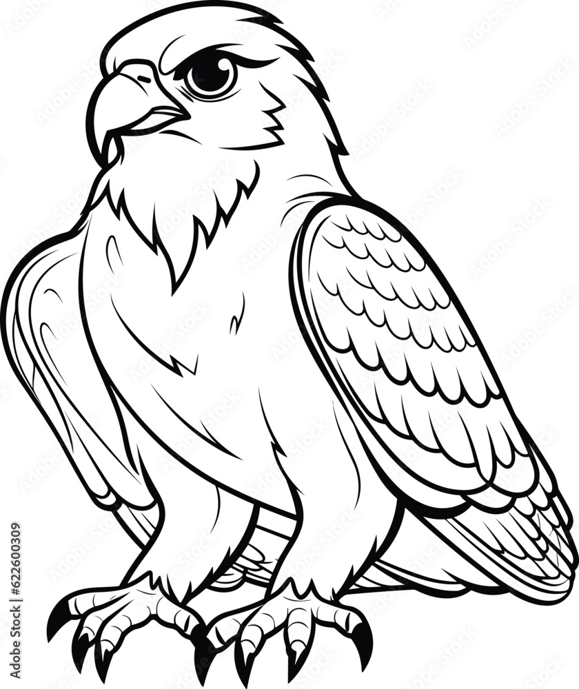Falcon coloring pages vector animals