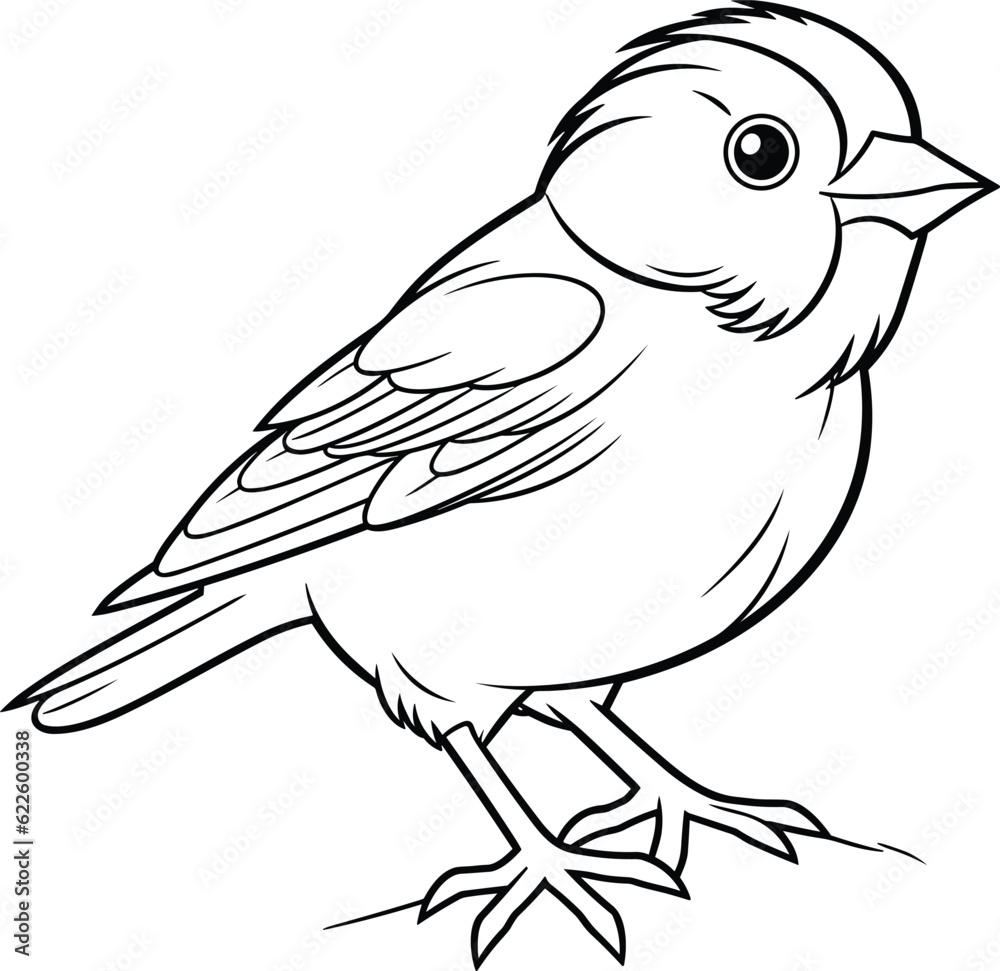 Obraz premium Finch coloring pages vector animals
