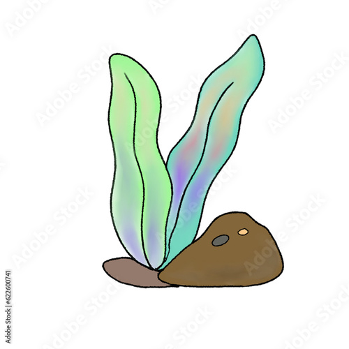  pastel coral reef
