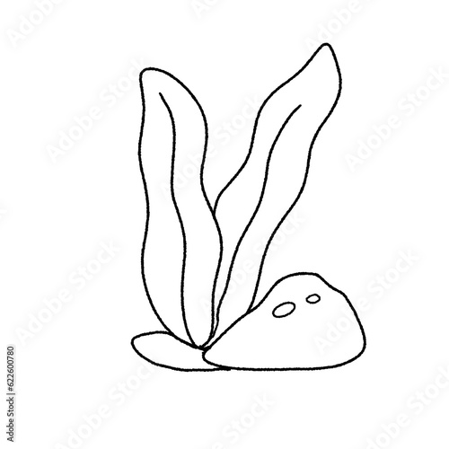 seaweed clipart