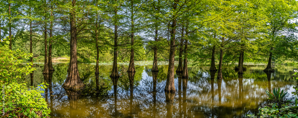 Landschaft