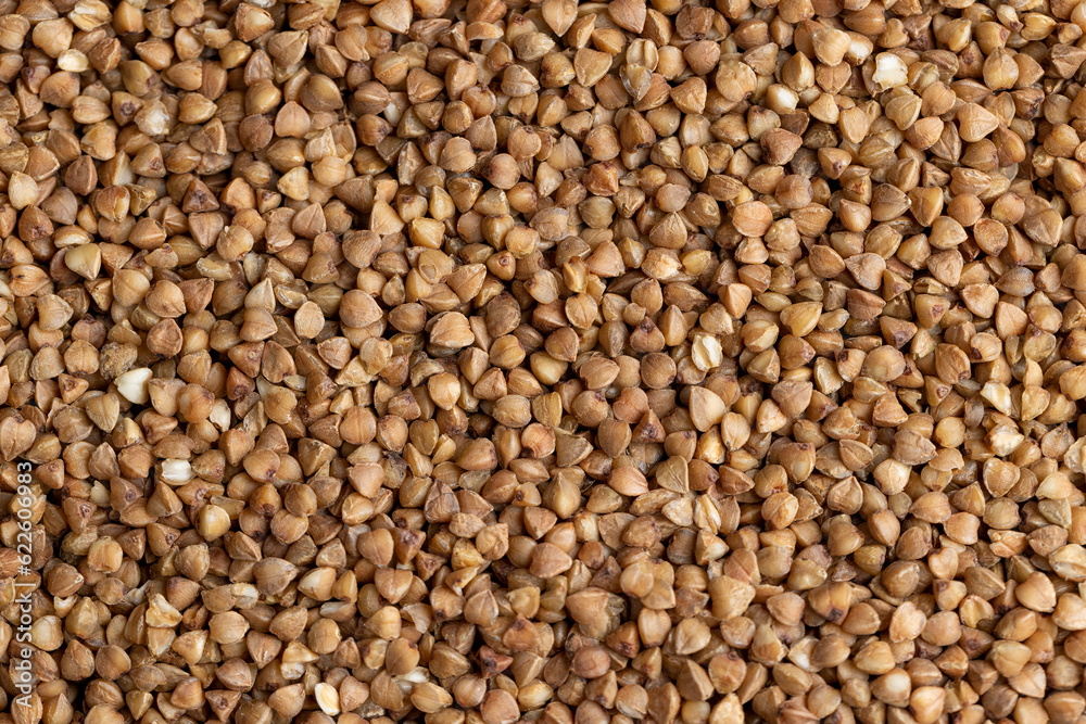 A large amount of harvested buckwheat A large amount of harvested buckwheat
