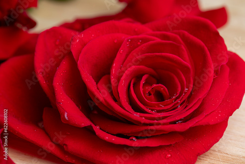 A beautiful red rose cut into pieces