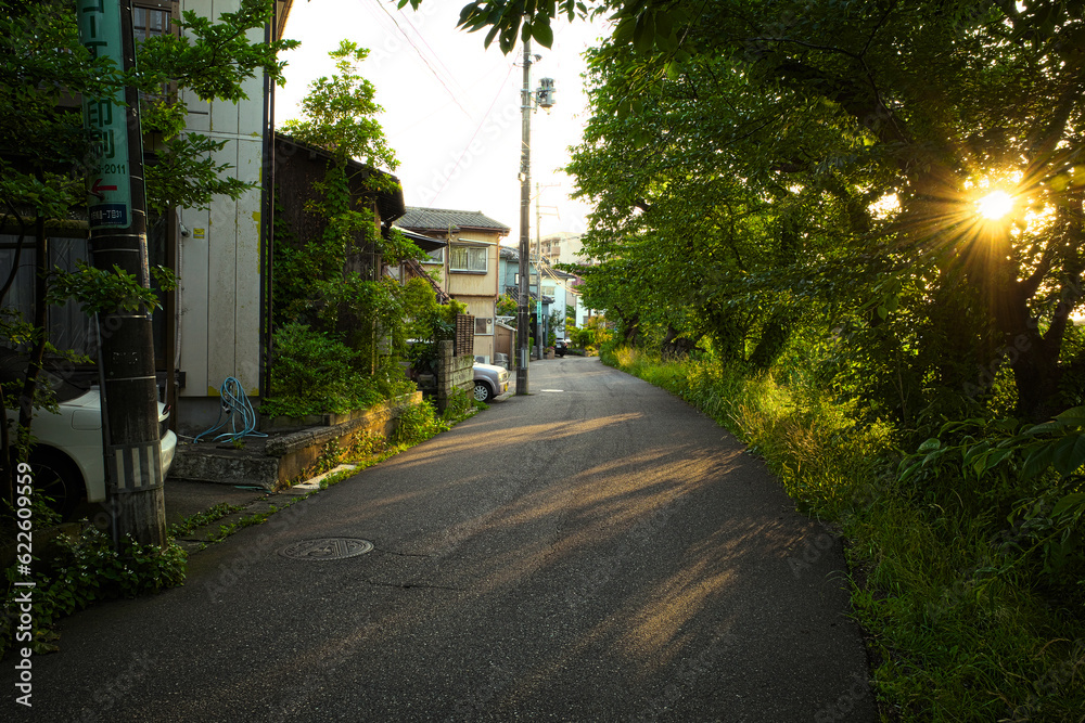 夕日の小道 夕日の小道