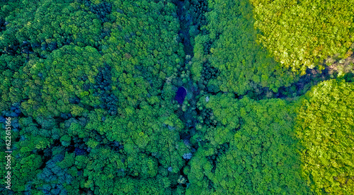 Mountain lake among the forests in the mountains view from a drone from above, trees in green foliage. beautiful landscape in the evening light.