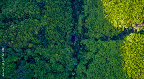 Mountain lake among the forests in the mountains view from a drone from above, trees in green foliage. beautiful landscape in the evening light. © Mariyka LnT