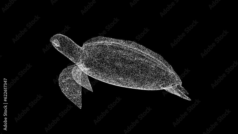 3D Turtle rotates on black bg. Underwater world. Turtles world water ...