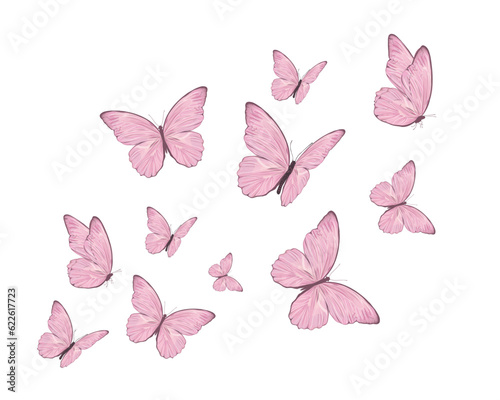 butterflies and flowers © gltekin