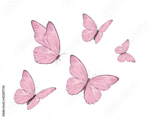 set of butterflies isolated on white © gltekin