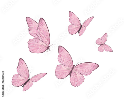 set of butterflies isolated on white