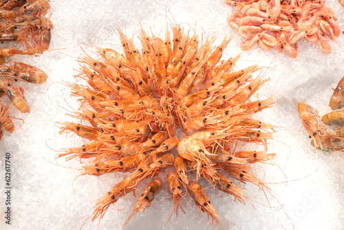 Fresh shrimps. Seafood serv...