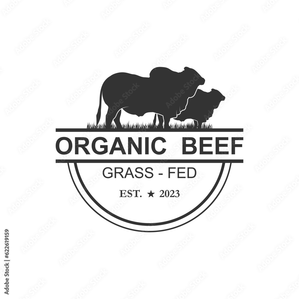 Obraz premium Retro Vintage Farm Cattle Angus Livestock Beef Emblem Label logo design vector