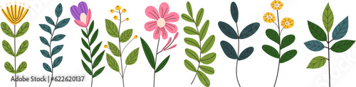 flowers and plants set  on white background vector