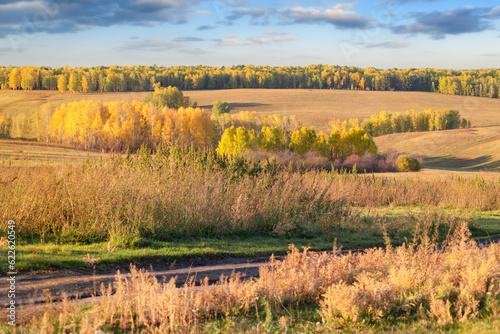 autumn landscape on a sunny warm day with blue sky, yellow trees with dried foliage