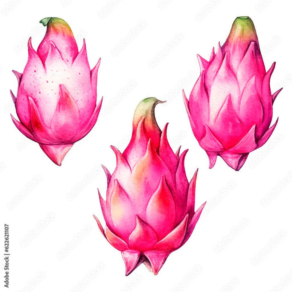dragon fruit set watercolor on a white background created with Generative Ai dragon fruit set watercolor on a white background created with Generative Ai