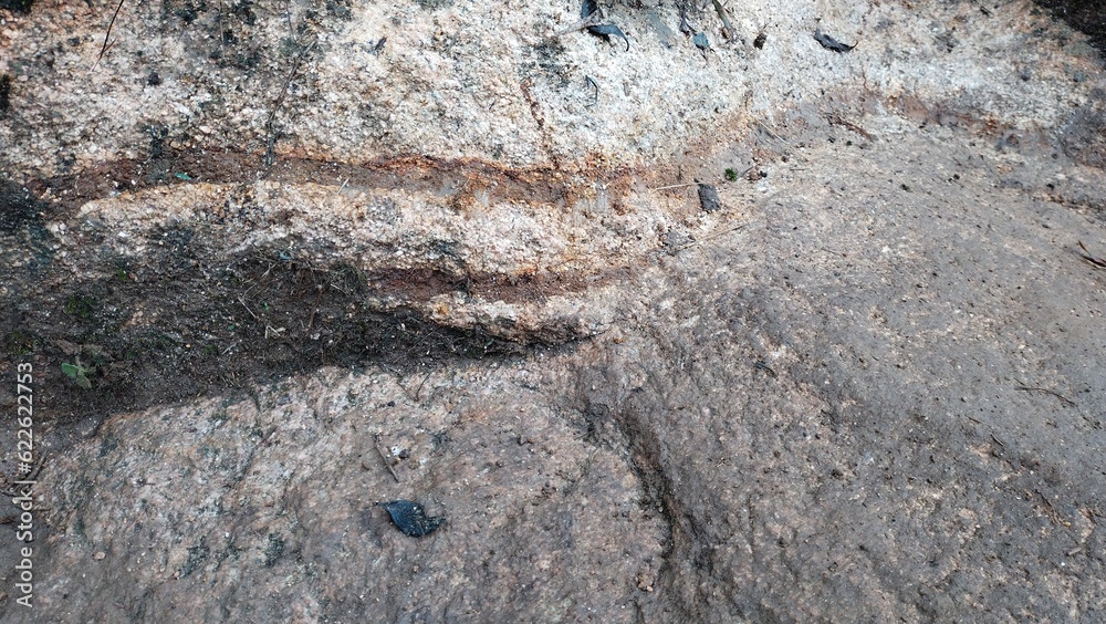 Naklejka premium stone wall texture