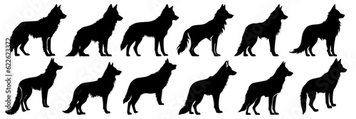 Wolf silhouettes set, large pack of vector silhouette design, isolated white background.