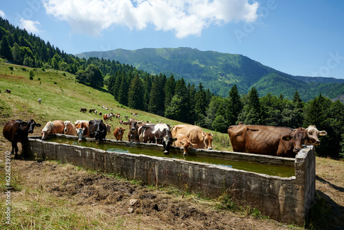 val palot photo