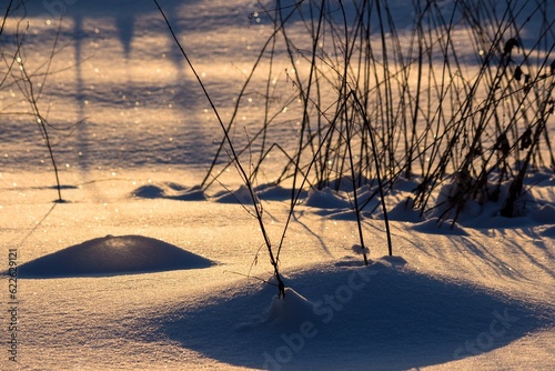 Chiaroscuro in the snow during sunset. The golden color of a snow-covered field illuminated by the sun
