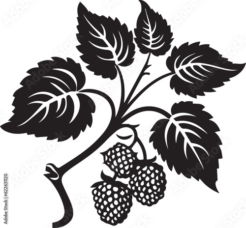 Red mulberry Black And White, Vector Template Set for Cutting and Printing