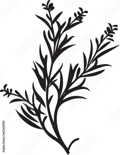 Rosemary Black And White, Vector Template Set for Cutting and Printing