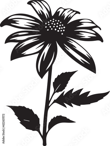 Rudbeckia Black And White  Vector Template Set for Cutting and Printing
