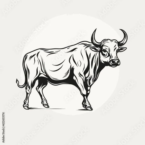 Bull hand-drawn illustration. Bull. Vector doodle style cartoon illustration