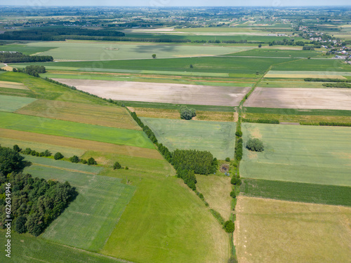 Abstract geometric shapes of agricultural parcels of different crops in yellow and green colors. Aerial view shoot from drone directly above field