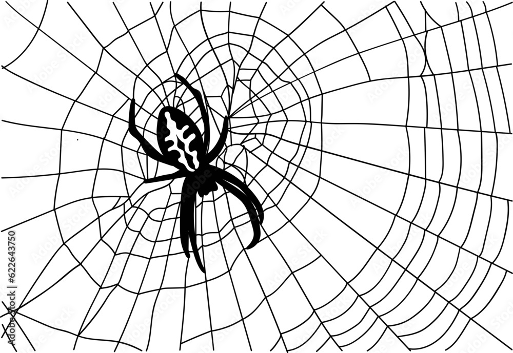 Obraz premium Halloween Scary Spider Web