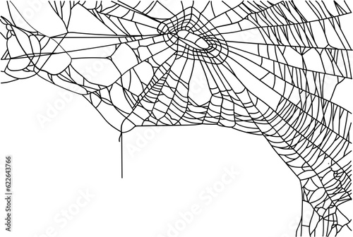 Halloween Scary Spider Web