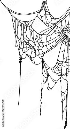 Halloween Scary Spider Web