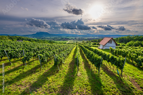 Vineyards with the Saint George Hill in Balaton Uplands, Hungary