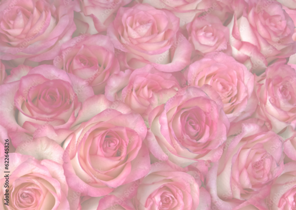 Abstract floral background of rose flowers Abstract floral background of rose flowers