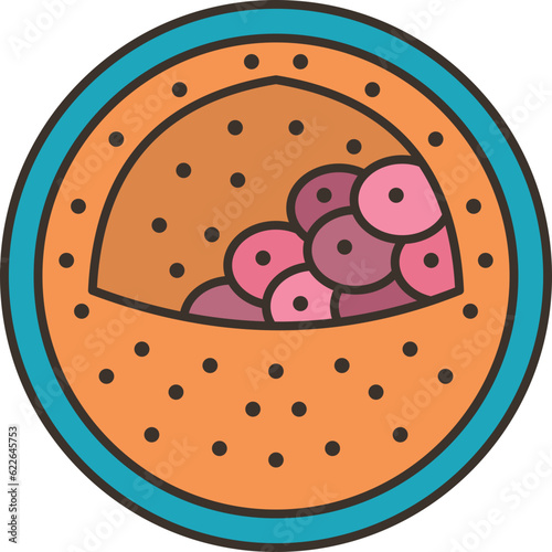 blastocyst  icon