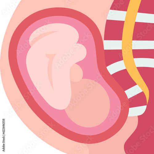 embryo  icon