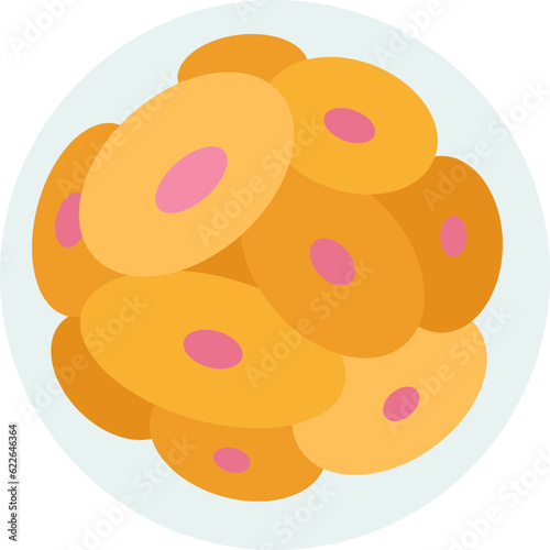 morula  icon