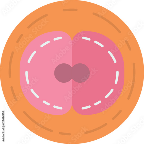 zygote  icon