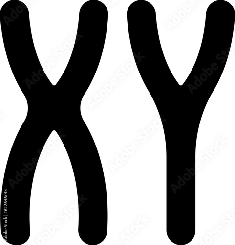 chromosome  icon